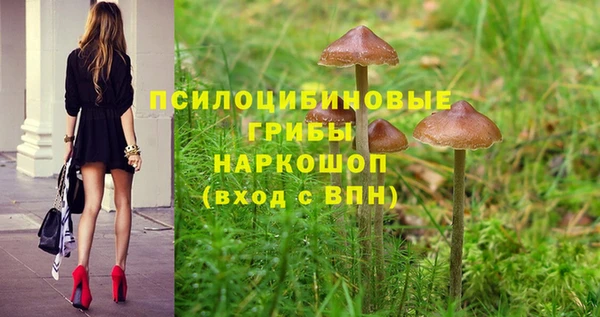 ГАЛЛЮЦИНОГЕННЫЕ ГРИБЫ Верхний Тагил