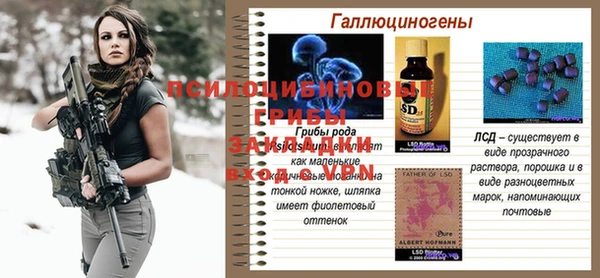 ГАЛЛЮЦИНОГЕННЫЕ ГРИБЫ Верхний Тагил