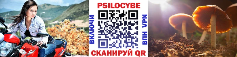 Псилоцибиновые грибы Psilocybine cubensis  Купить закладки  Алапаевск 